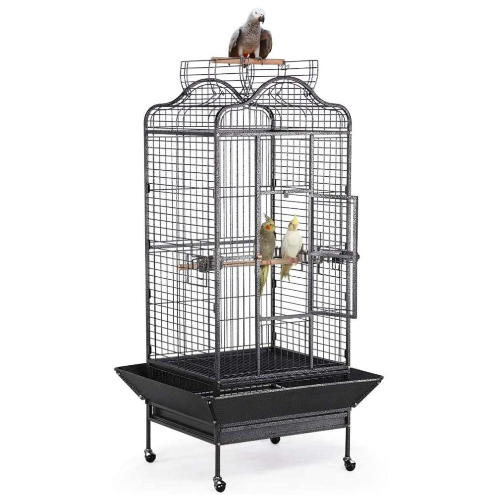 Bird Cage With Stand: Safe and Comfortable Place To Call Home