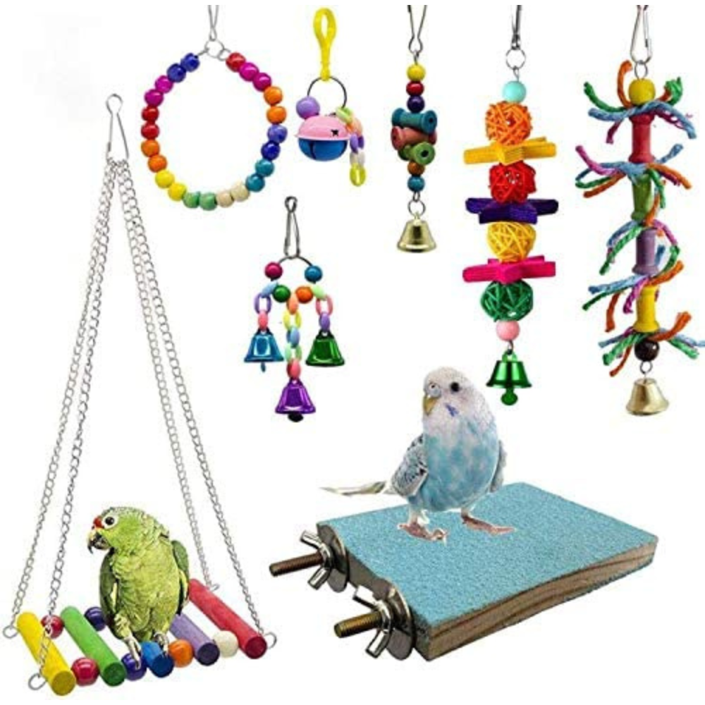Parakeet Toys: Best 3 Options to Keep Your Bird entertained