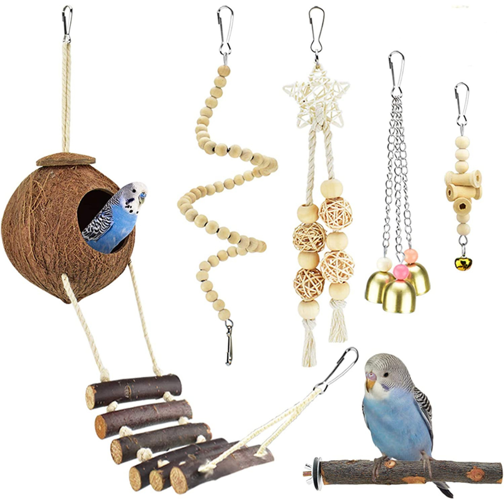 Parakeet Toys: Best 3 Options to Keep Your Bird entertained