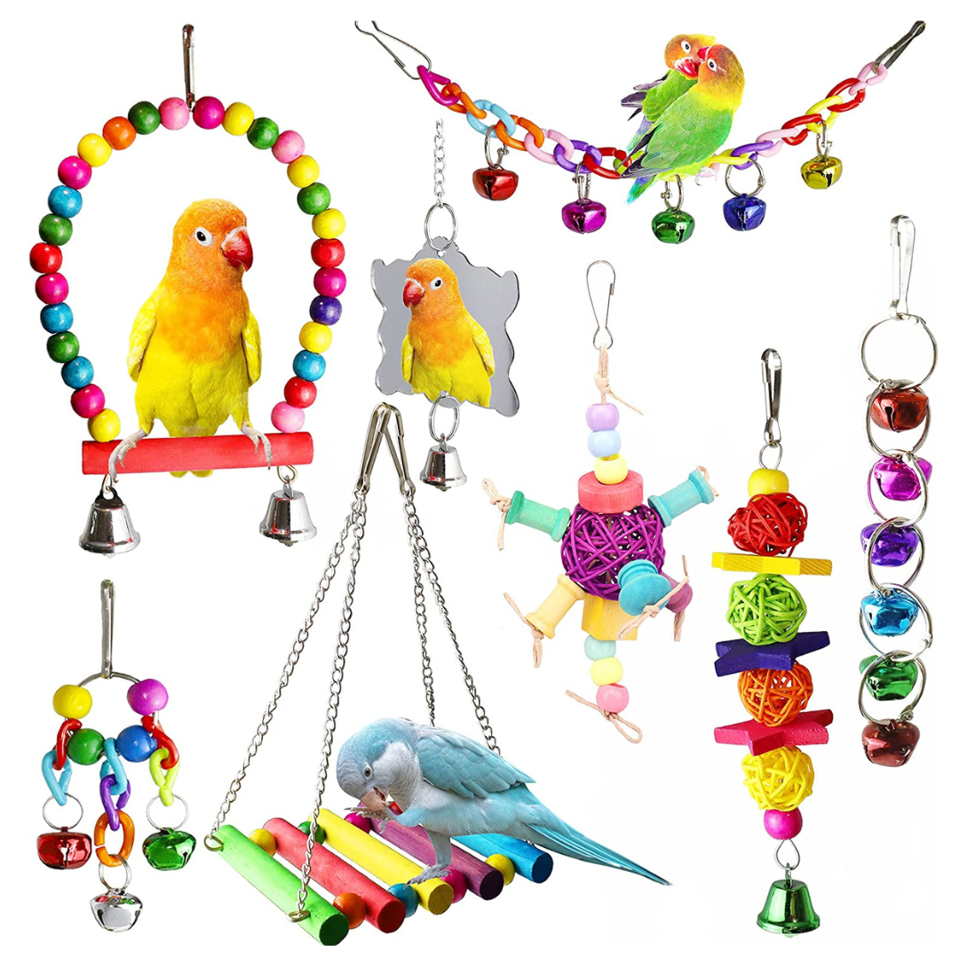 Top 3 Toys for Lovebirds that Will Keep Them Entertained