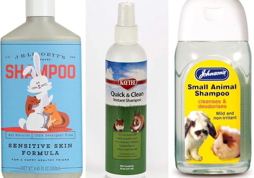 Guinea Pig Shampoo: Choosing the Right Shampoo for Your Piggie