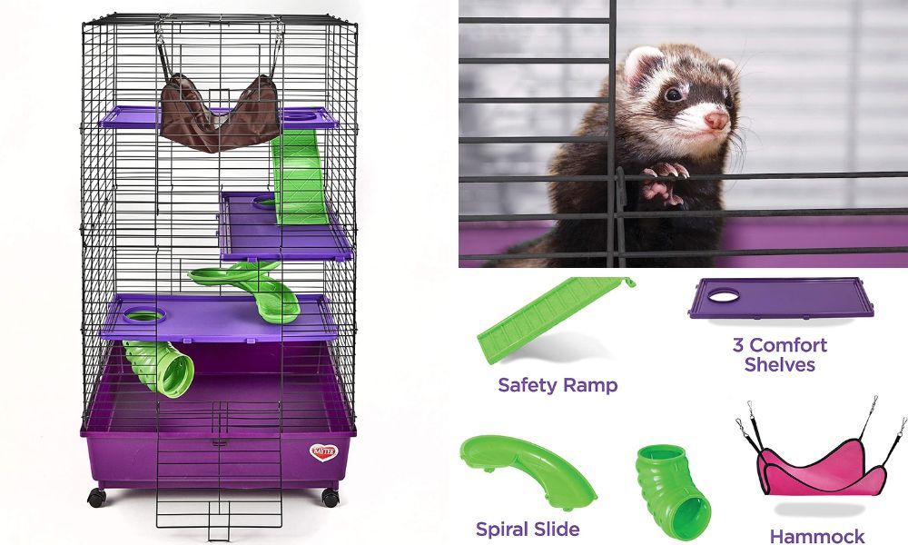 Discover Why Kaytee Ferret Food With Chicken Is The Perfect Choice For Your Pet!