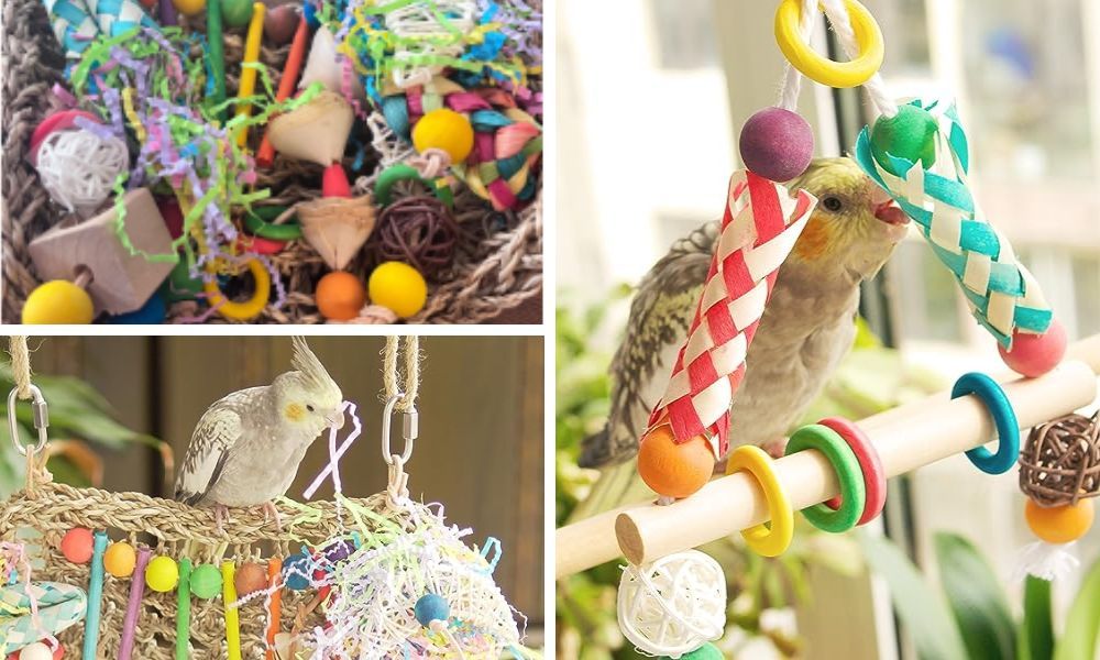 Why Your Cockatiel Loves Chewing: The Importance of Chewable Cockatiel Toys