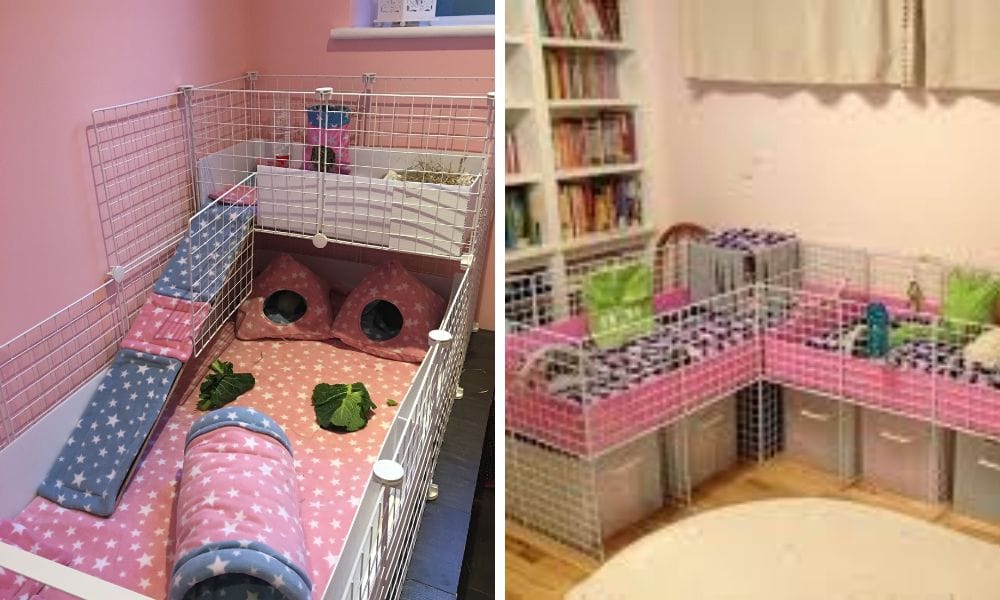 Creative Guinea Pig Cage Ideas for Your Furry Friends