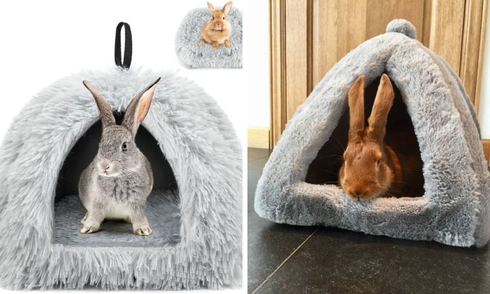 bunny beds