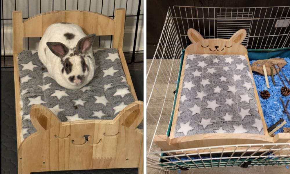 bunny bed