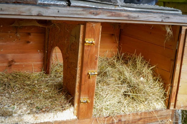 The Ultimate Guide to Building Your Own Rabbit Hutch DIY