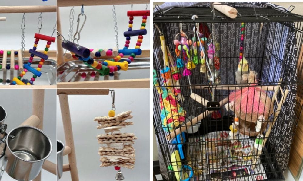 Cockatiel Playground Designed for Cockatiels and small Parrots