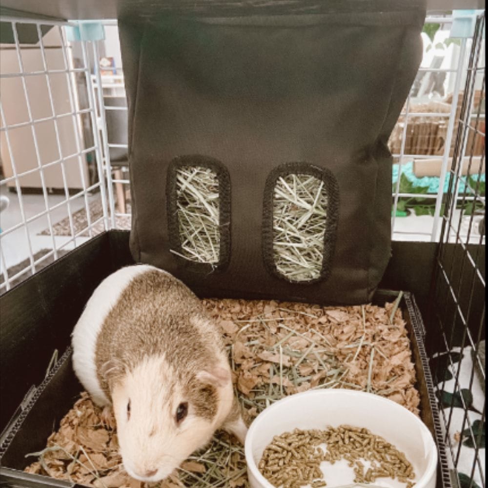 Hay bag and litter tray