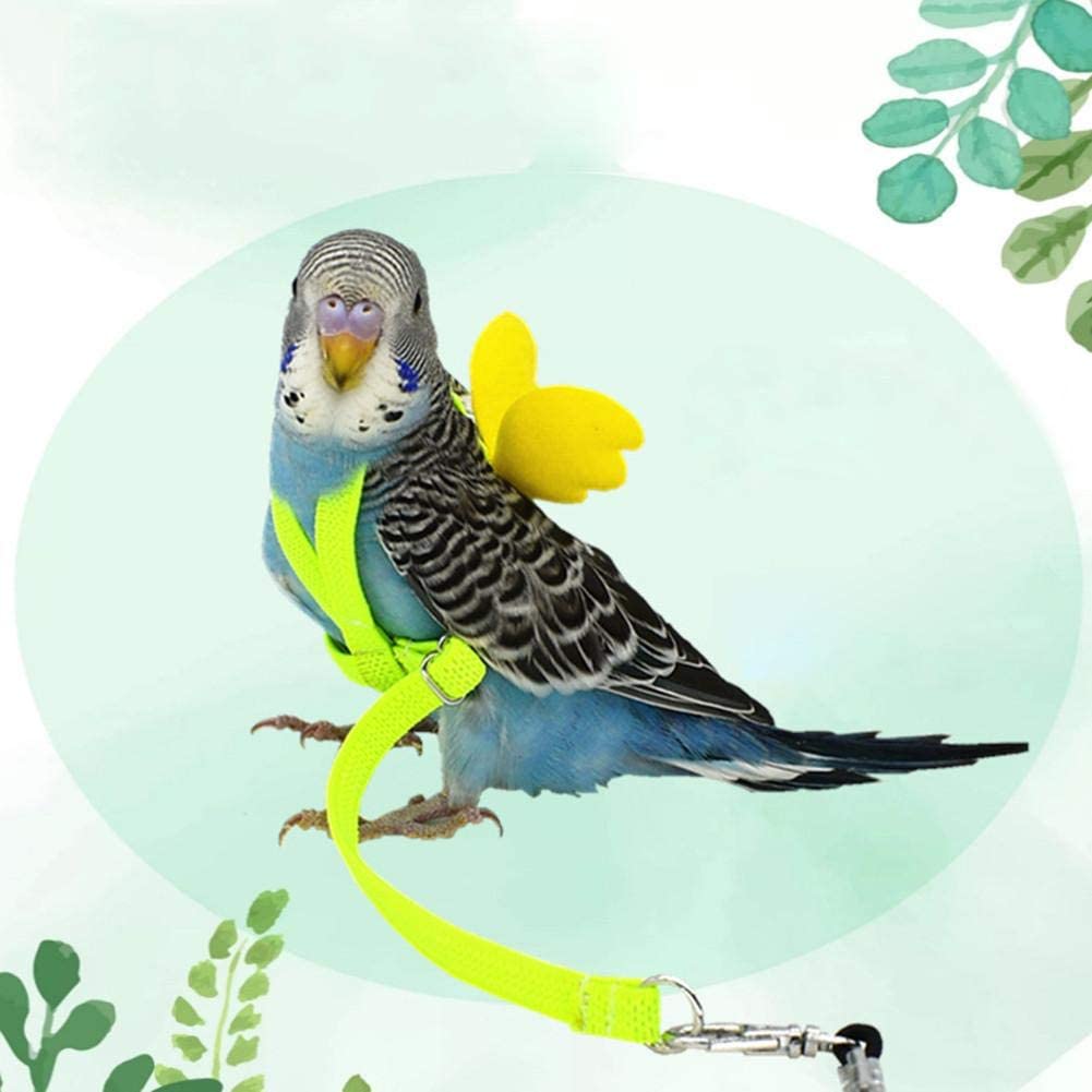 Best 5 Parakeet Leashes You Need to Consider Before Taking Your