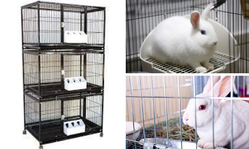 The Ultimate Guide to Choosing the Best Stackable Rabbit Cages for Your