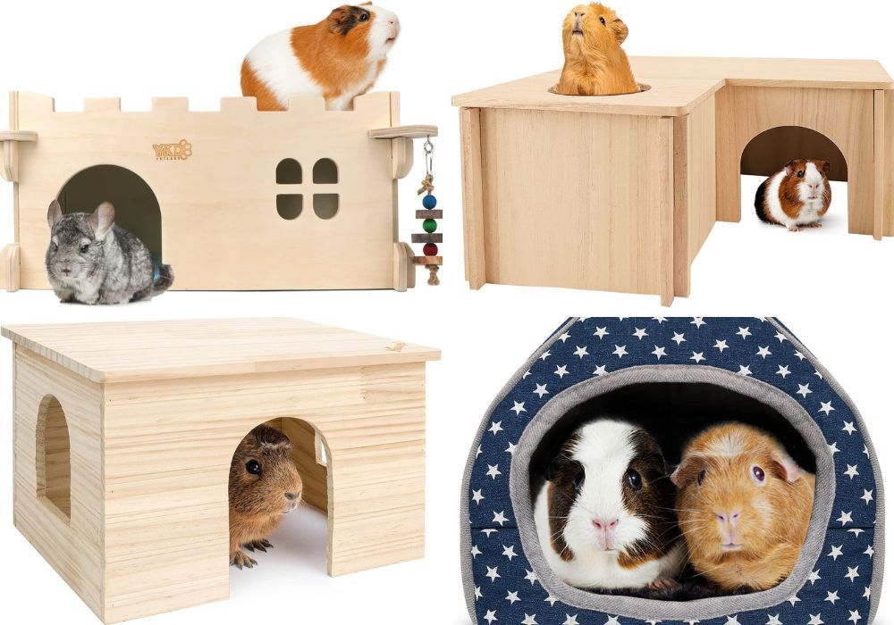 Huts for Guinea Pigs
