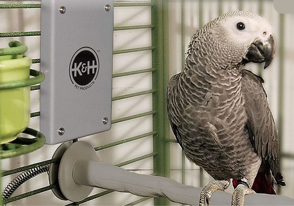 Bird Cage Heater