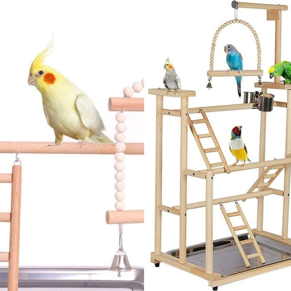 Cockatiel Playground