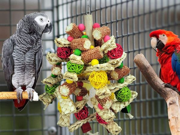 Foraging toys for Birds 