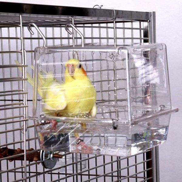 Cockatiel Bath Tub