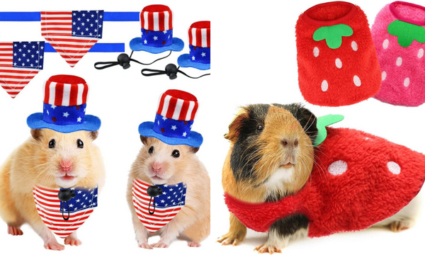 Guinea Pig Costumes