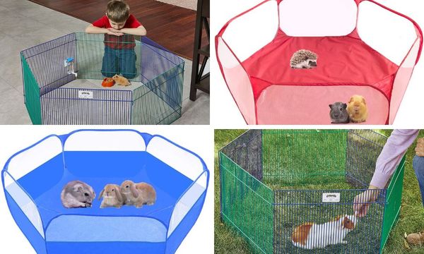 Playpen for guinea pigs