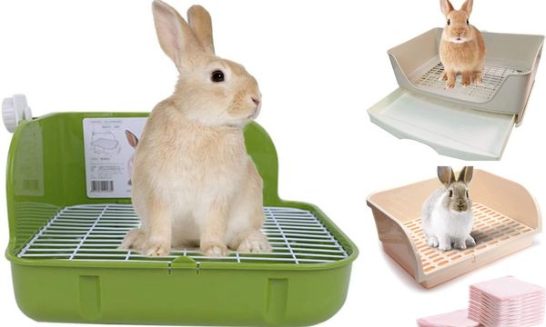 Rabbit Litter Box