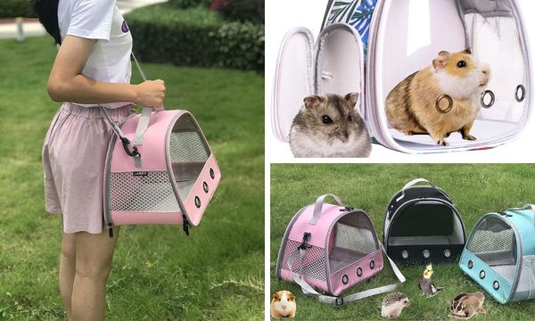 Travel Cages for Guinea Pigs