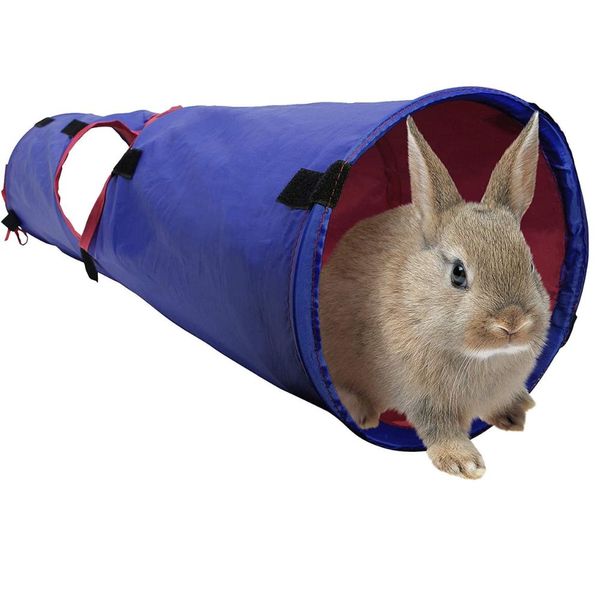 Top 5 Rabbit Tunnels: Which Is Right For You?