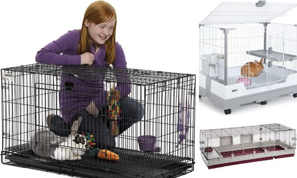 Wire Rabbit Cage