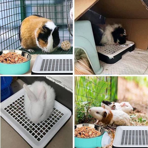 Guinea Pig Litter Box