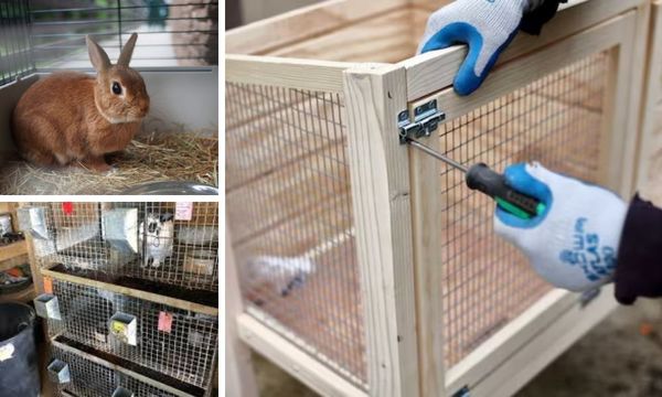 Stackable Rabbit Cages