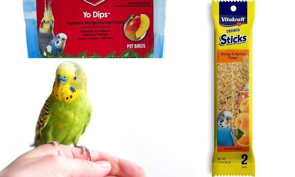 Parakeet Treats