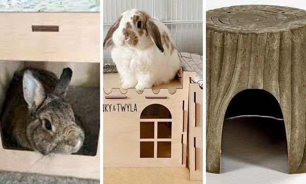 Rabbit Hideaway