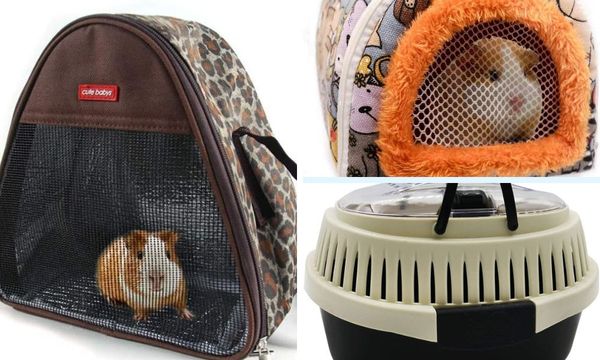 Travel Cages for Guinea Pigs