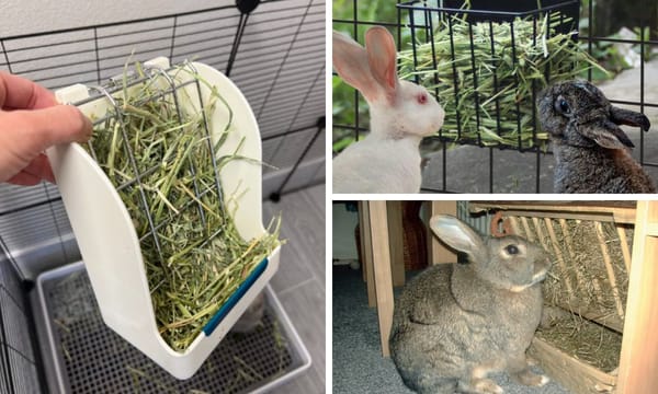 Rabbit Hay feeder