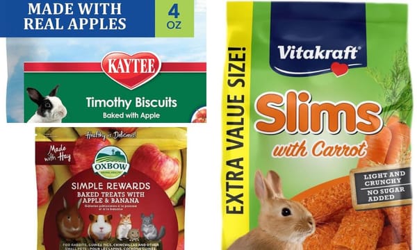 3 Irresistible Rabbit Treats on Amazon That Your Furry Friend Will Hop For Joy Over!