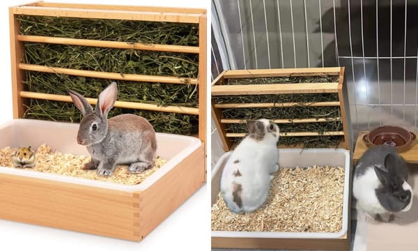 Rabbit Hay Feeder with Integrated Litter Box