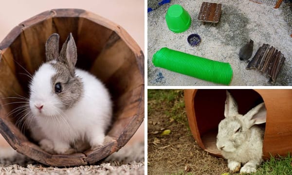The Ultimate Guide to Choosing the Best Rabbit Tunnel for Your Pet